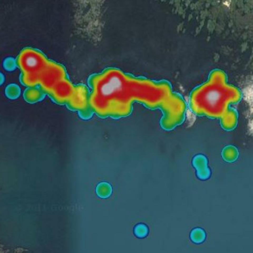 Imaged diver GPS data  - credit: 