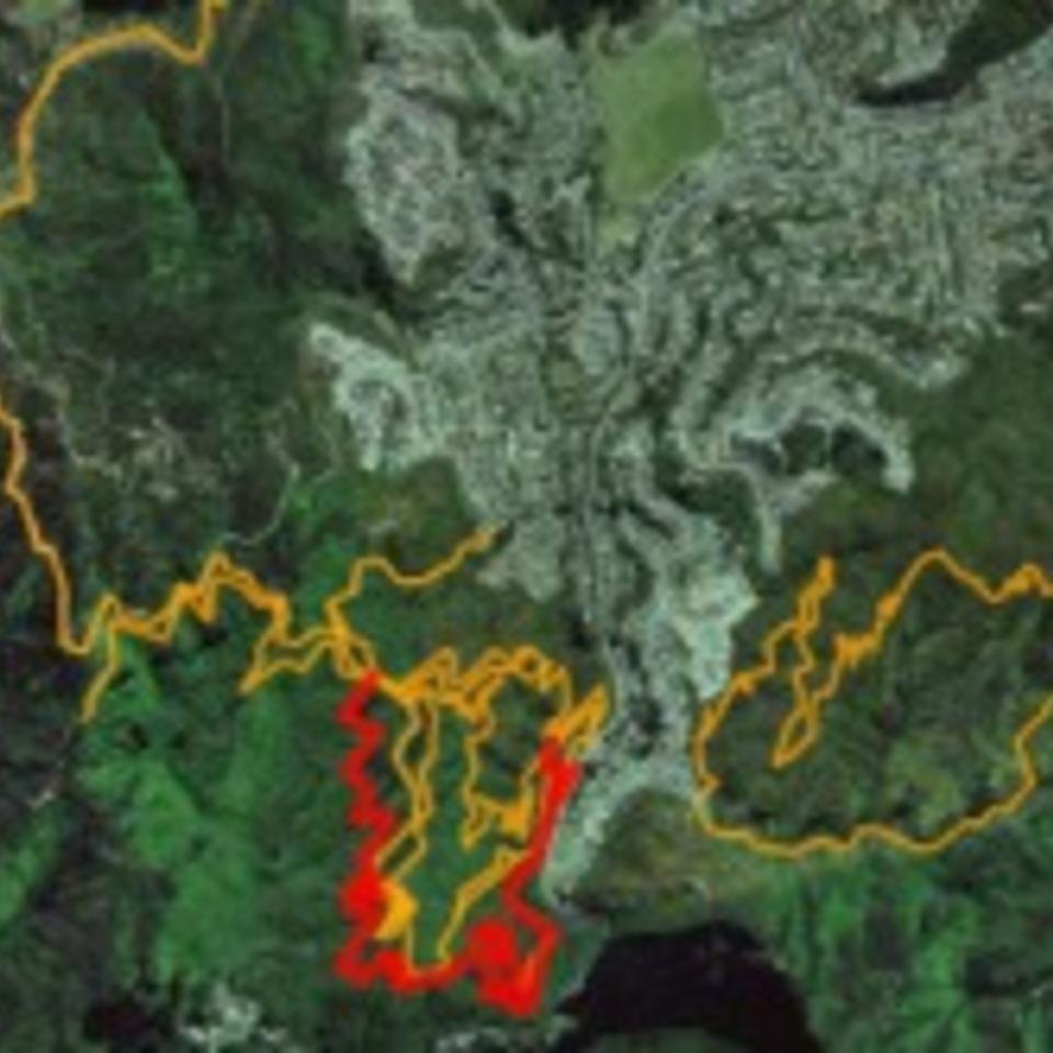 Mountain bike tracks in Wellington - credit: tracks.org.nz