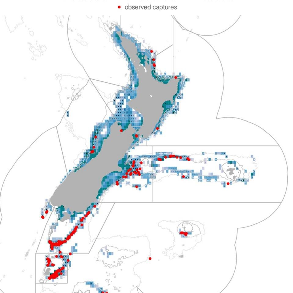 Observed seabird captures in New Zealand trawl fisheries during the 2010–11 fishing year. - credit: CC-BY Dragonfly Science