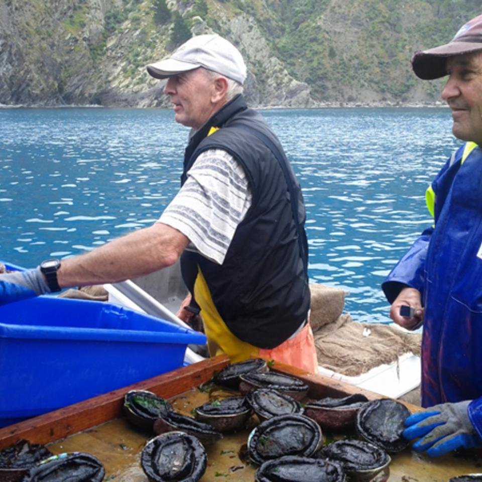 Dave Baker (left) sorting pāua on his boat in the Marlborough Sounds - credit: Edward Abraham