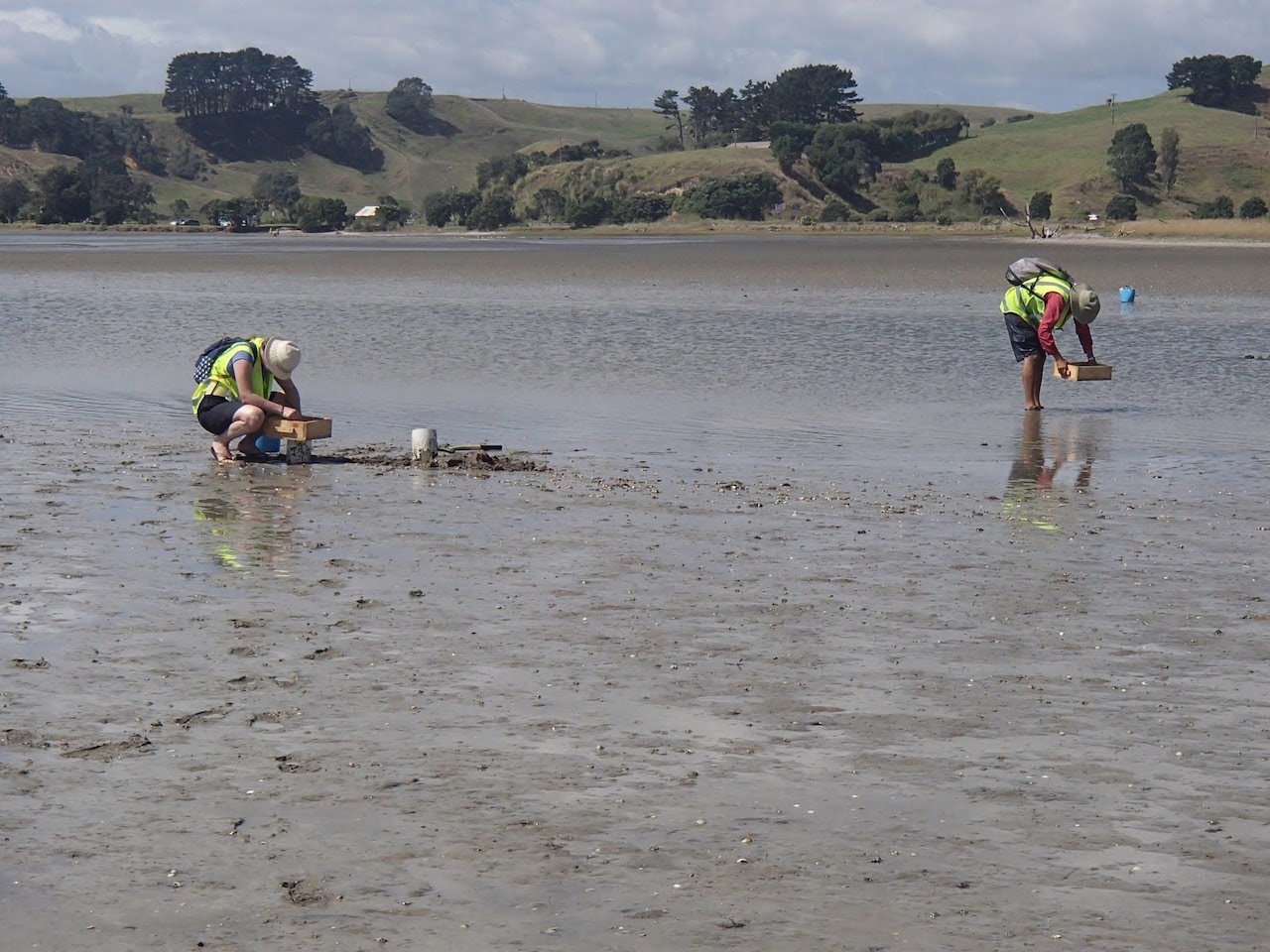 Members of the field team counting and measuring bivalves